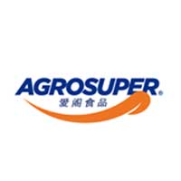 全球供应商伙伴 20